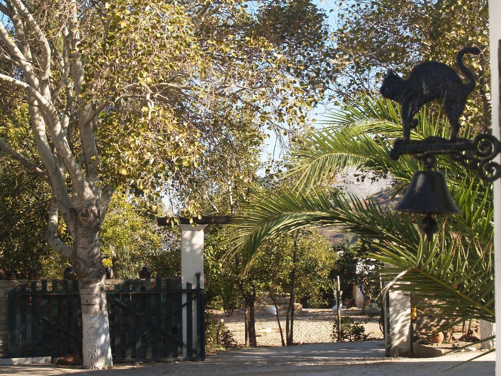 Pegasus Studios & Apartments Skyros Exterior foto