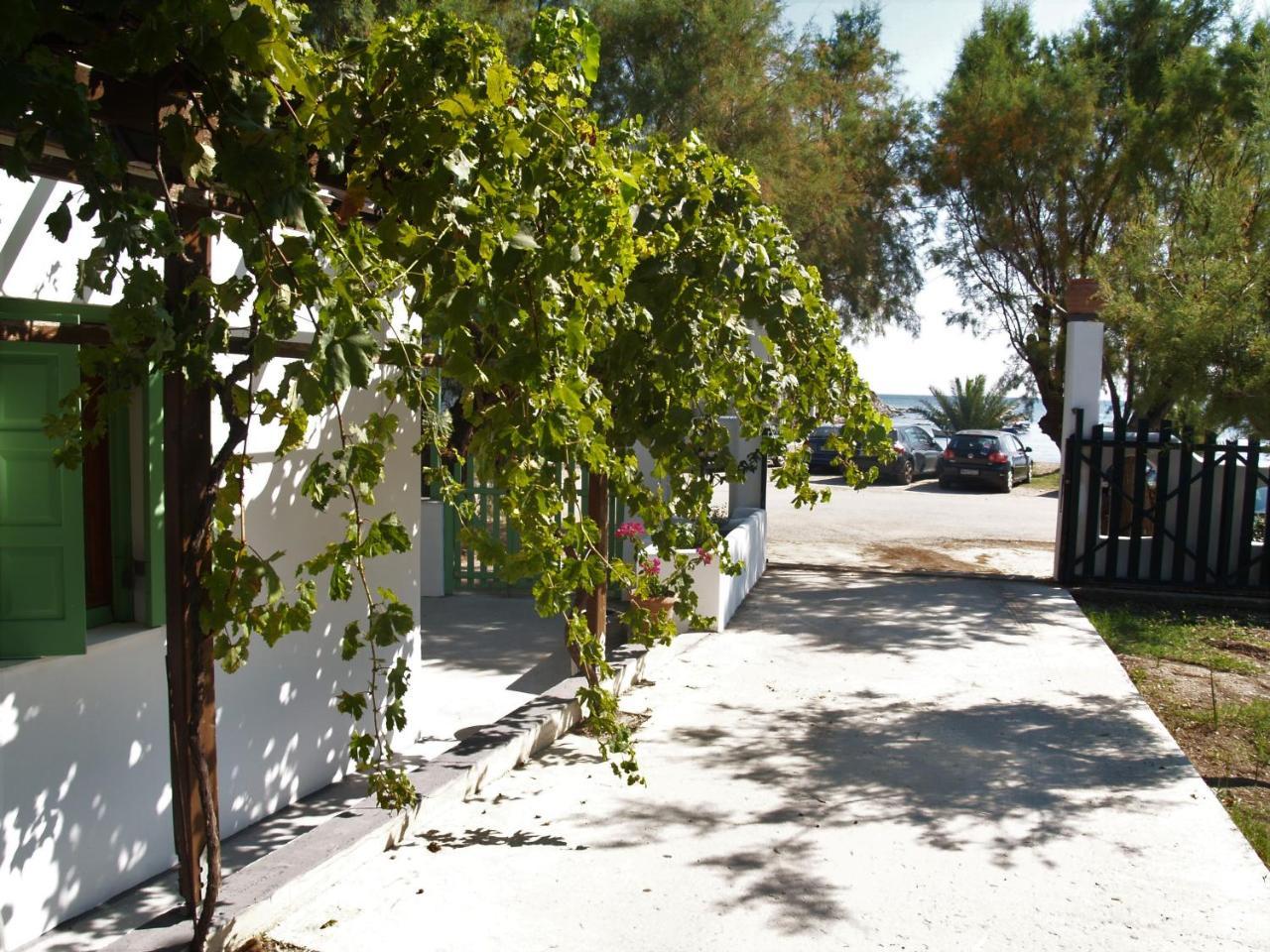 Pegasus Studios & Apartments Skyros Exterior foto